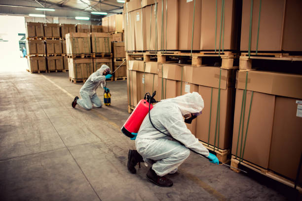 Best Affordable Pest Control Services  in Emmitsburg, MD