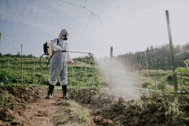Best Pest Prevention Services  in Emmitsburg, MD