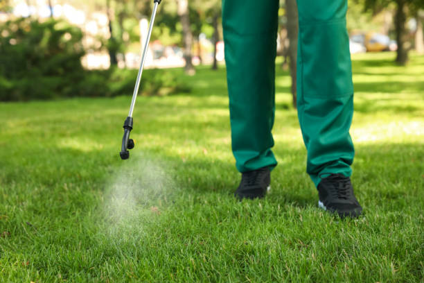 Best Mosquito Control Services  in Emmitsburg, MD