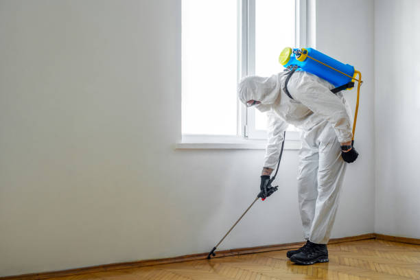 Best Termite Control Services  in Emmitsburg, MD