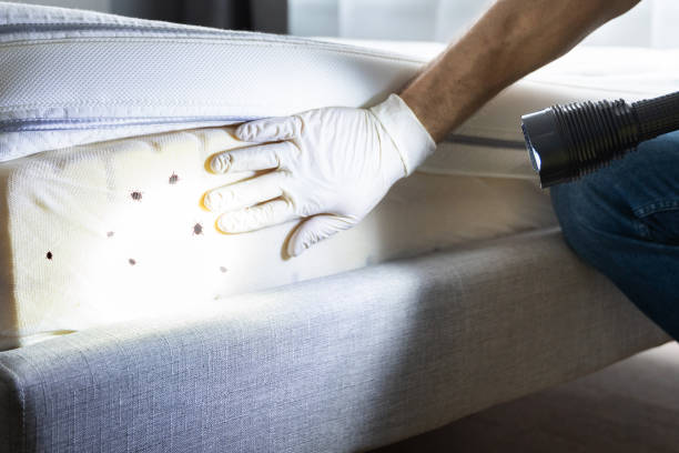 Best Residential Pest Control  in Emmitsburg, MD