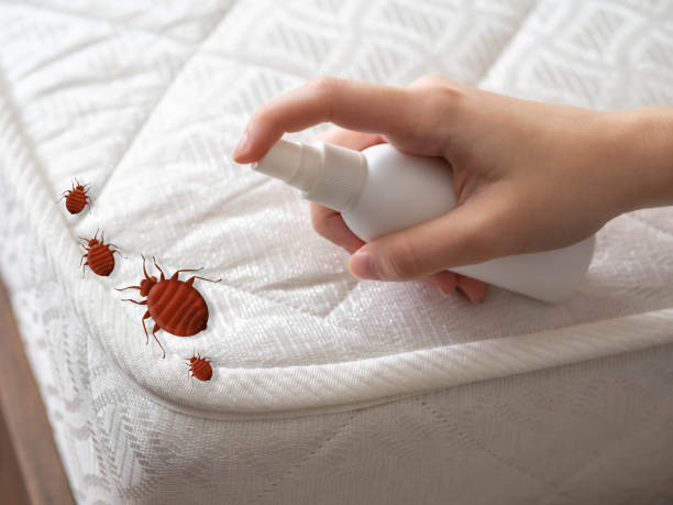 Best Commercial Pest Control Services  in Emmitsburg, MD