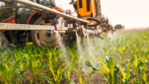 Best Ant Control Services  in Emmitsburg, MD